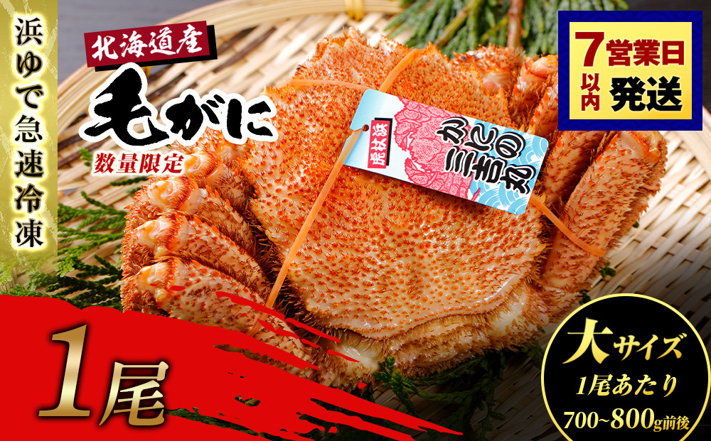 【大サイズ】北海道産 冷凍ボイル毛ガニ (700g-800g前後) 1尾  蟹 かに カニ 毛ガニ AS192