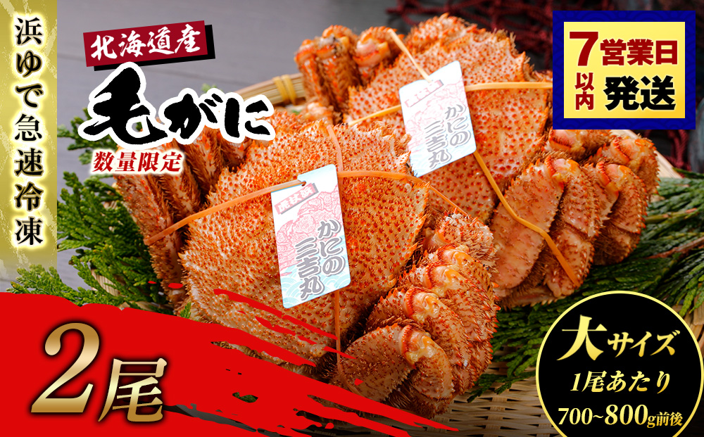 【大サイズ】北海道産 冷凍ボイル毛ガニ (700g-800g前後) 2尾 AS193