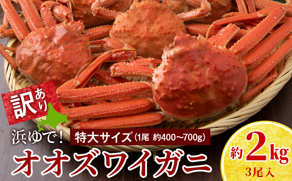 【7営業日以内発送】訳あり オオズワイガニオス 特大サイズ (約400-700g) 浜ゆで 2kg (3尾入)AS225