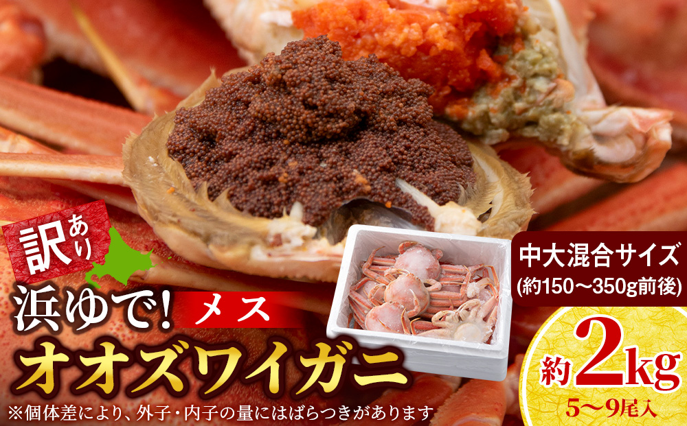 【7営業日以内発送】訳あり オオズワイガニメス (約150-350g前後) 浜ゆで 2kg (5～9尾入) AS226