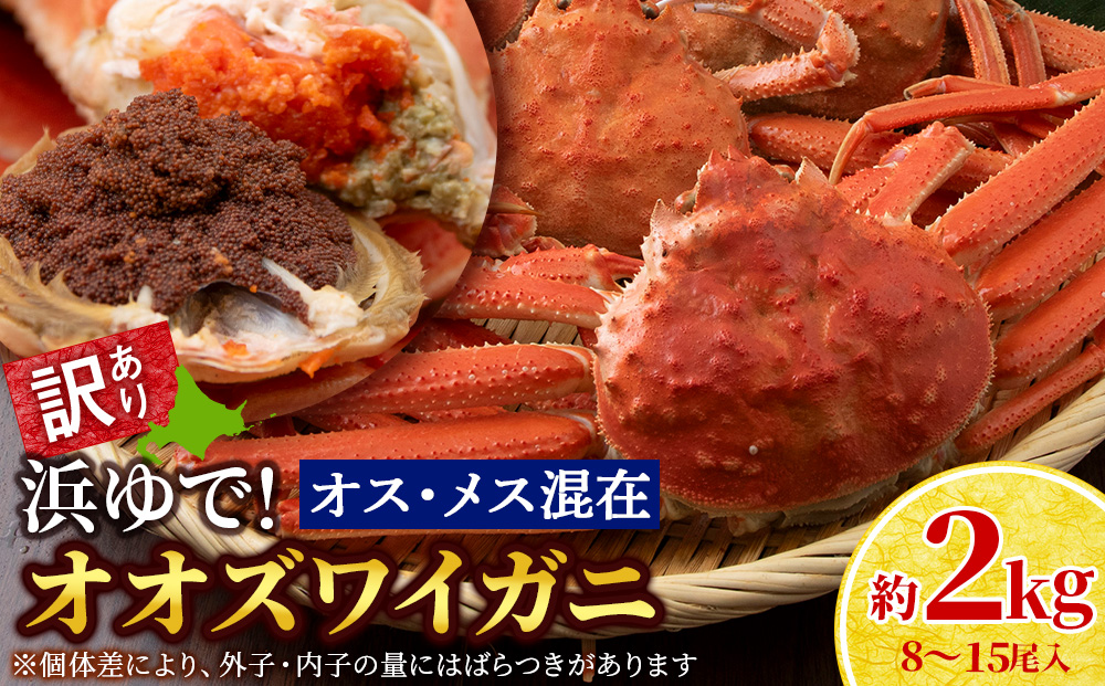 【7営業日以内発送】訳あり オオズワイガニオスメス混在 浜ゆで （8-15尾）2kg 北海道産 AS228