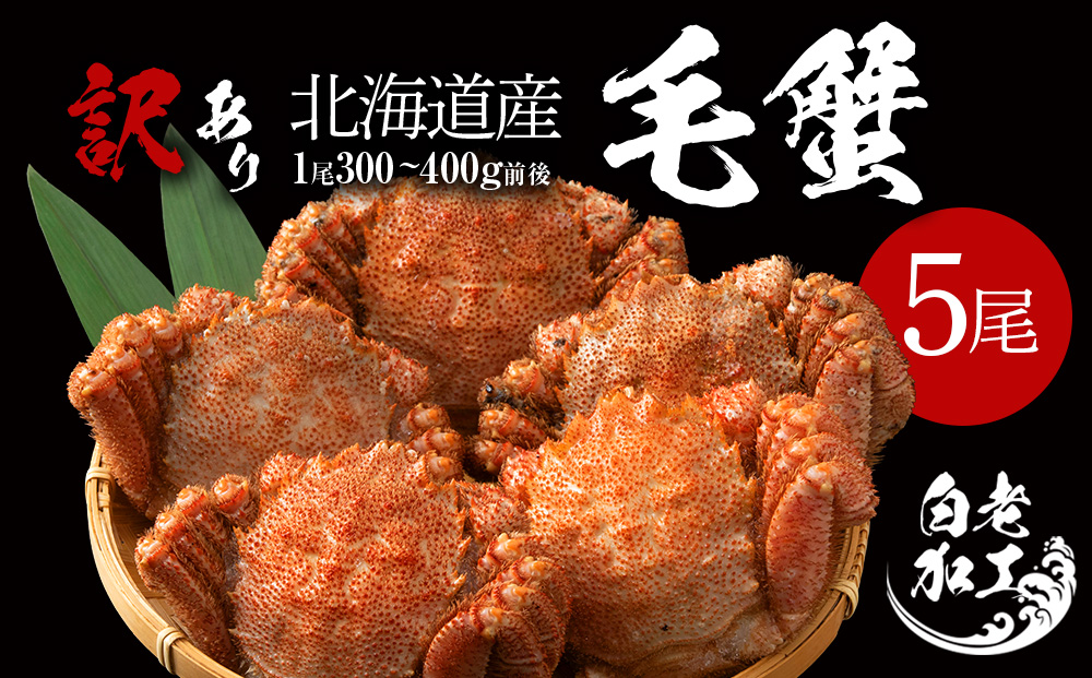 【数量限定】訳あり毛ガニ 5尾入り （300ｇ～400ｇ前後×5尾）