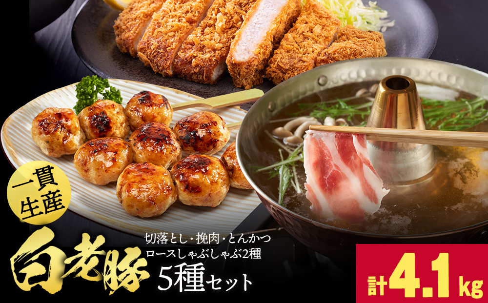 北海道産 白老豚 5種セット 合計4.1kg BV098
