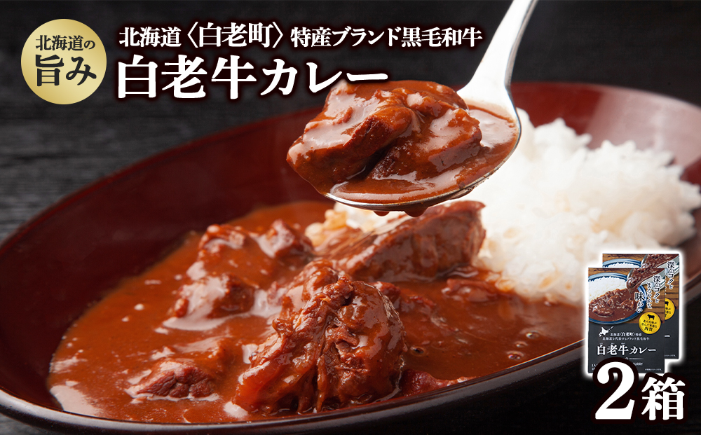 カレー レトルト 白老牛カレー 180ｇ×2箱 北海道 国産 和牛 ビーフ