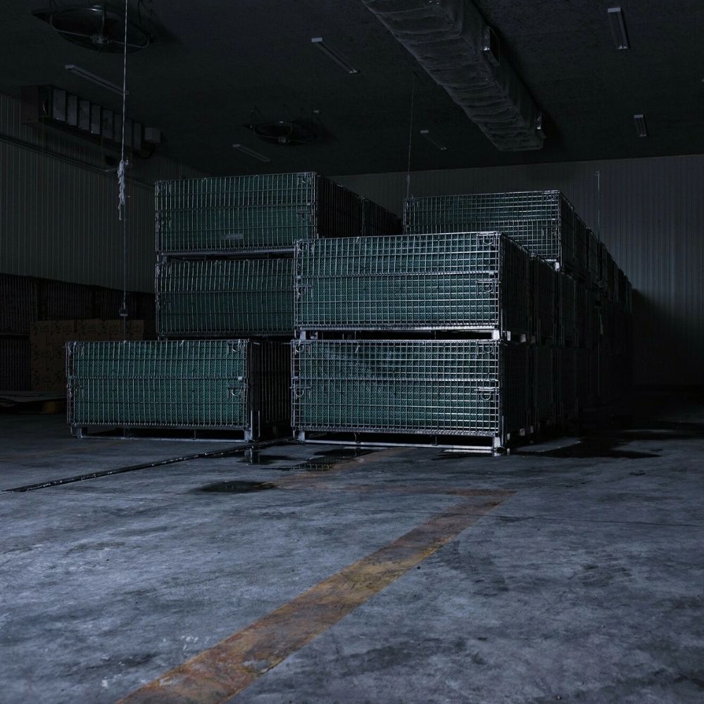 【全2回定期便】 氷室熟成あつまいも（メークイン）4.5kg×1箱 《厚真町》 【株式会社伝平さんの畑】 じゃがいも ジャガイモ メークイン 芋 熟成 熟成芋 野菜 北海道 [AXAD003]