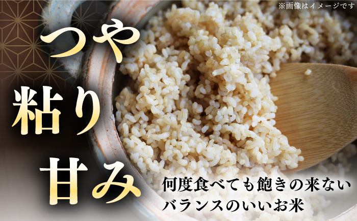 【玄米】【新米 令和7年産】ななつぼし  一等米 さくら米 30kg《厚真町》【とまこまい広域農業協同組合】 コメ ご飯 北海道 R7 [AXAB036]