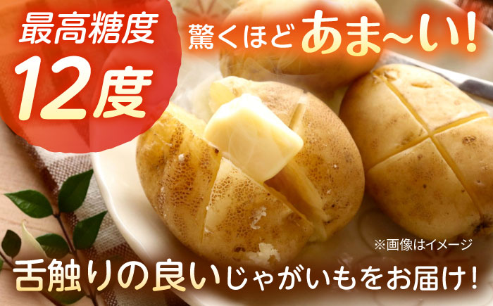 【先行予約商品】【5月中旬から発送予定！】氷室メークイン2kg《厚真町》【とまこまい広域農業協同組合】 じゃがいも ジャガイモ 芋 メークイン 野菜 先行予約 北海道 [AXAB048]