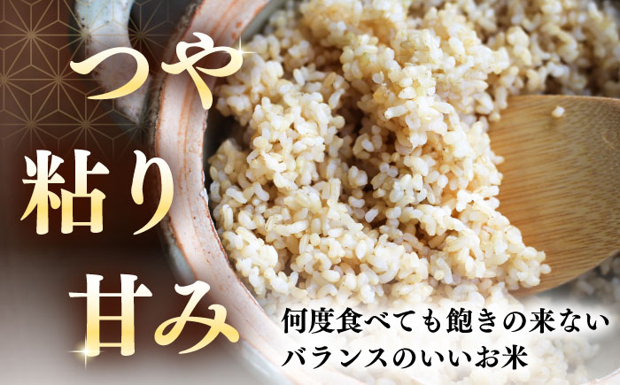 【全3回定期便】【玄米】さくら米 10kg《厚真町》【とまこまい広域農業協同組合】 米 お米 玄米 ご飯 ななつぼし 一等米 特A 北海道 [AXAB080]