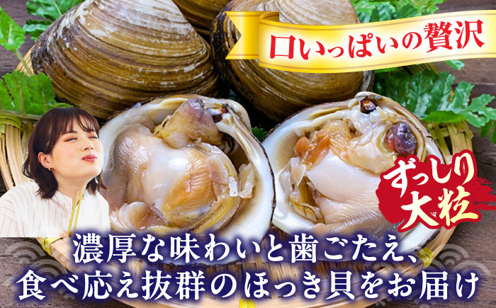 厚真町近海で獲れた 活ほっき貝 4kg（約16～24個）《厚真町》【鵡川漁業協同組合】ホッキ貝 北寄貝 海鮮 冷蔵配送 北海道 [AXAL005]