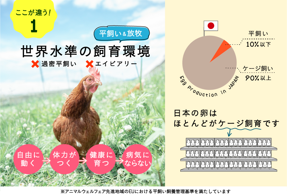 【月2回・全24回定期便】平飼い有精卵 25個  【冷蔵便】 12ヵ月 【テンアール株式会社】 たまご  玉子 平飼い 定期便 [AXAN028]