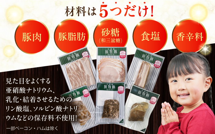 【全3回定期便】【結着剤・発色剤・保存料不使用】 放牧豚 ハム・ベーコン贅沢6種セット 【ファーマーズファクトリー株式会社】 モモ 豚肉 ブロック 冷凍配送 セット 詰め合わせ 北海道 [AXBA067]