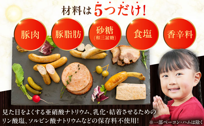 【全12回定期便】【訳あり】【結着剤・発色剤・保存料不使用】 放牧豚 ボロニア厚切りスライスソーセージ 3枚x10セット（130g/パック） 【ファーマーズファクトリー株式会社】 訳あり ウインナー 冷凍配送 セット 詰合せ 北海道 [AXBA081]