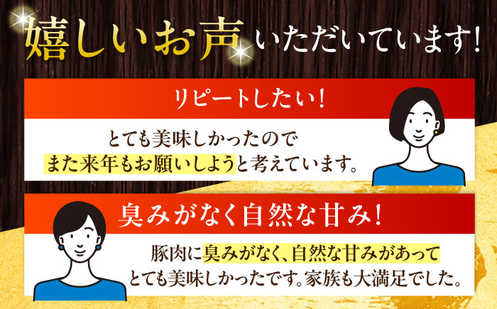 放牧豚 レモンハーブソーセージ 計800g（100g×8）《厚真町》　【ファーマーズファクトリー株式会社】 [AXBA102]