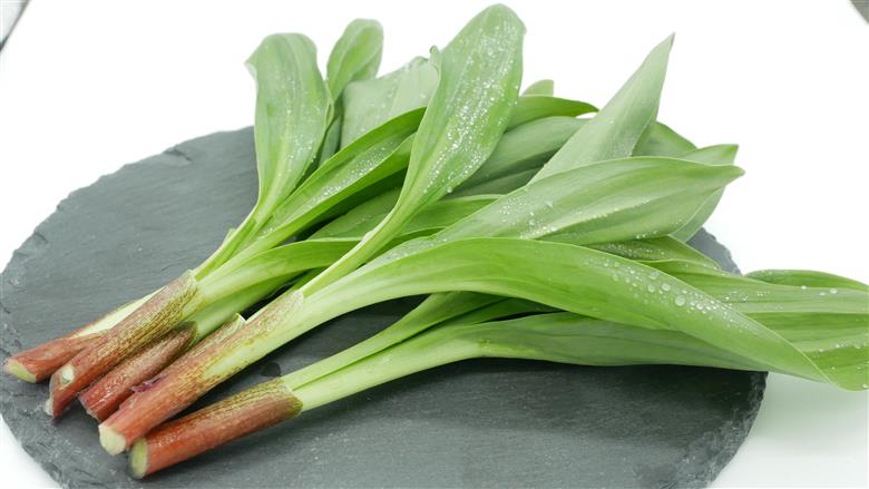 プクサ（行者ニンニク）昆布つゆ漬け 4瓶セット《厚真町》【株式会社知熊屋】 [AXBN006]