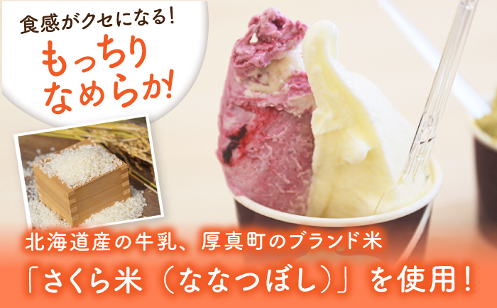 【全3回定期便】落葉樹色のジェラート6種×2セット 《厚真町》【株式会社クーバル】 ジェラート アイス セット アソート 米粉 詰め合わせ スイーツ 北海道 定期便[AXBQ033]