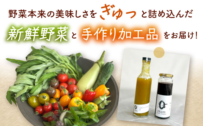 「季節の有機野菜セット」2～3人分 《厚真町》 【ekam】 [AXBV007]