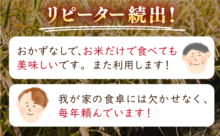 【全2回定期便】【新米 令和7年産】ななつぼし [たんとう米] 10kg《厚真町》【とまこまい広域農業協同組合】 米 定期便 2カ月 連続 毎月 お米 白米 ご飯 ななつぼし ブランド米 北海道 [AXAB068]