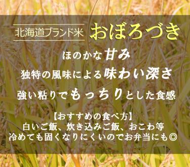 【全3回定期便】北海道ブランド米 おぼろづき 10kg（5kg×2）《厚真町》【あつま河村農場】 米 お米 白米 ご飯 おぼろづき 10kg 北海道 [AXAJ003] 60000 60000円
