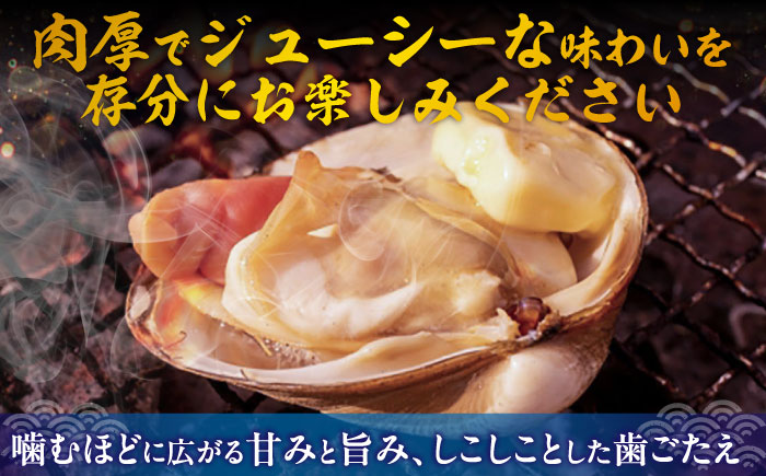 厚真町近海で獲れた 活ほっき貝 2kg（約8～12個）《厚真町》【鵡川漁業協同組合】ホッキ貝 北寄貝 海鮮 冷蔵配送 北海道 [AXAL005]