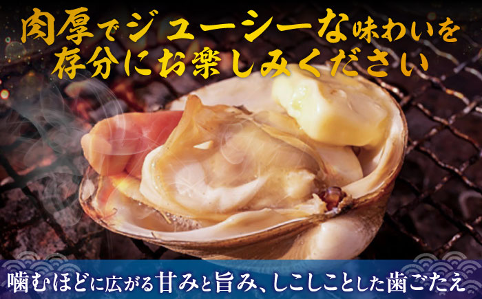 厚真町近海で獲れた 活ほっき貝 4kg（約16～24個）《厚真町》【鵡川漁業協同組合】ホッキ貝 北寄貝 海鮮 冷蔵配送 北海道 [AXAL005]