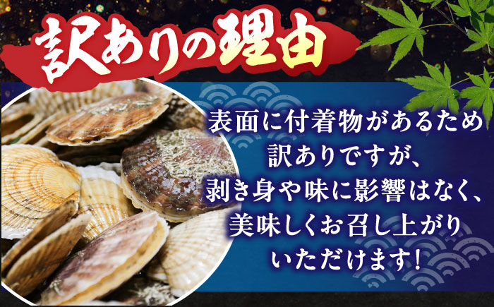 ＜期間限定受付＞【訳あり！】漁港直送！天然貝殻付き活ホタテ2.5kg《厚真町》　【鵡川漁業協同組合】　ホタテ 活ホタテ 帆立 海鮮 冷蔵 北海道 [AXAL007]