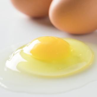 平飼い卵のクラシックプリン 8個 【テンアール株式会社】  ぷりん 固め かため デザート スイーツ たまご 玉子 北海道  [AXAN008] 14000円