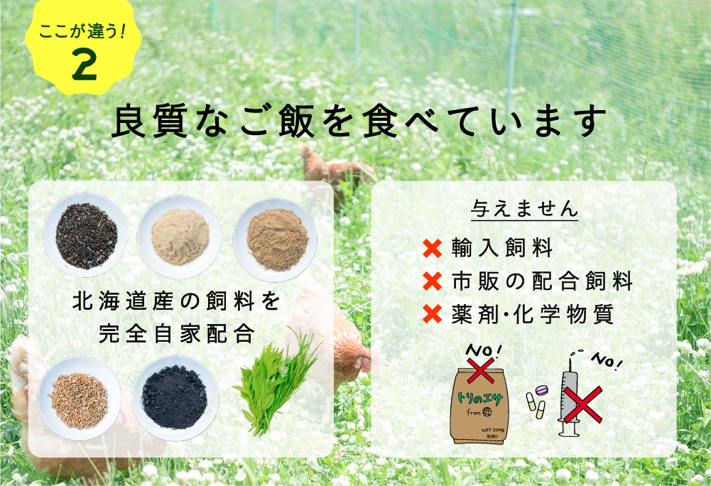 【全6回定期便】平飼い有精卵 50個【常温便】【テンアール株式会社】 たまご 卵 鶏卵 玉子 生卵 平飼い 北海道 定期便 [AXAN131]