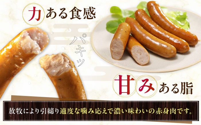 【全6回定期便】【結着剤・発色剤・保存料不使用】 放牧豚 粗挽きウィンナー 2パック（500g/パック） 【ファーマーズファクトリー株式会社】 チョリソー 粗挽き 冷凍配送 セット 詰め合わせ 北海道 [AXBA056]