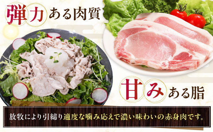 【全2回定期便】【簡易包装】放牧豚 スライス肉3種セット（ロース2種/モモ） 【ファーマーズファクトリー株式会社】 ロース モモ 豚肉 とんかつ しゃぶしゃぶ ステーキ 北海道 セット 詰め合わせ [AXBA070]