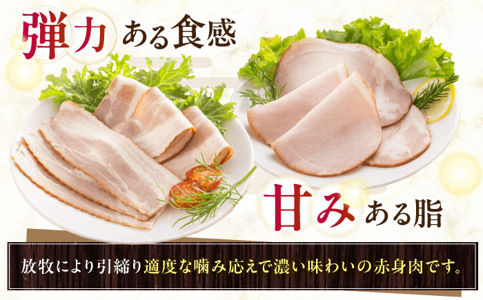放牧豚 ハムベーコンスライス 2種セット 計745g 《厚真町》【ファーマーズファクトリー株式会社】 [AXBA150]