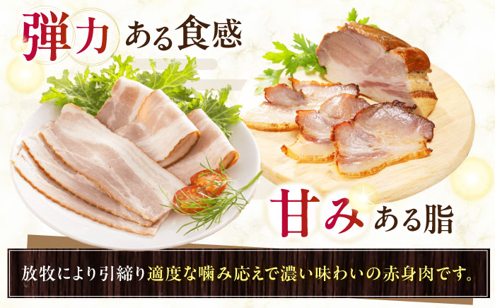 放牧豚 ベーコン4種セット 計860g 《厚真町》【ファーマーズファクトリー株式会社】 [AXBA152]