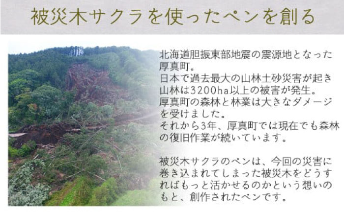 【ウェーブタイプ】被災木のサクラから創られたボールペン 1本《厚真町》【WOOD IKOR】 ボールペン ペン 文房具 木製 日用品 雑貨 北海道 [AXBI004] ウェーブタイプ