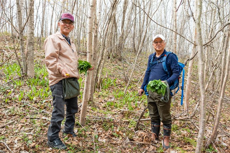プクサ（行者ニンニク）昆布つゆ漬け 4瓶セット《厚真町》【株式会社知熊屋】 [AXBN006]