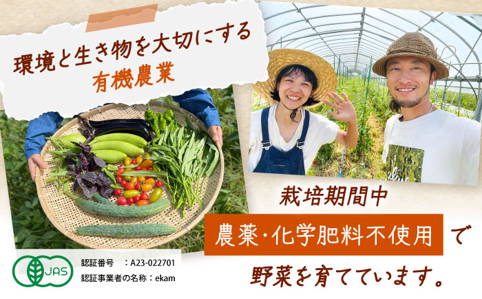 【年4回コース定期便】 「季節の有機野菜セット」2～3人分 《厚真町》 【ekam】 [AXBV009]