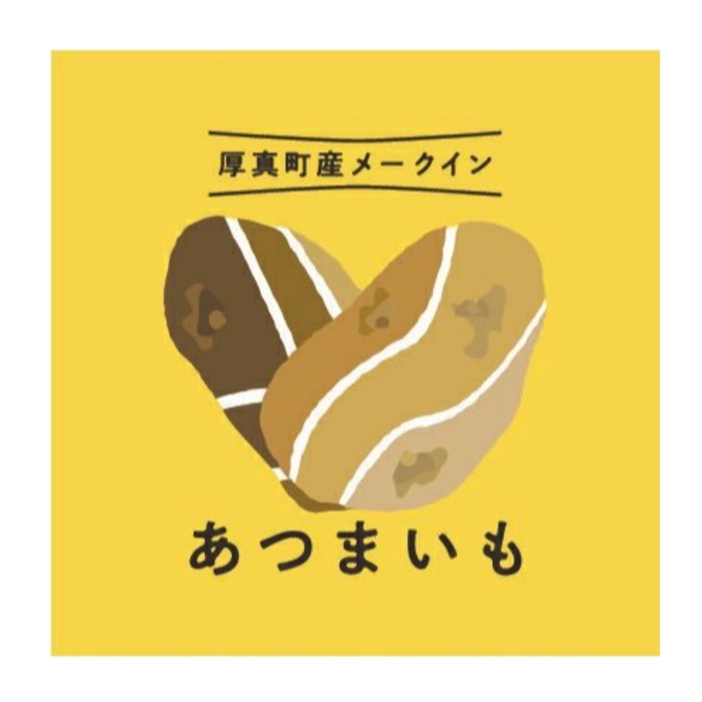 【全2回定期便】 氷室熟成あつまいも（メークイン）4.5kg×1箱 《厚真町》 【株式会社伝平さんの畑】 じゃがいも ジャガイモ メークイン 芋 熟成 熟成芋 野菜 北海道 [AXAD003]