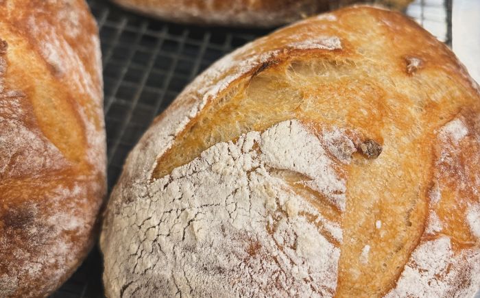  厚真を味わう 自家製酵母のパン詰め合わせ Bセット《厚真町》【パン工房Chillin'】 道産 国産 小麦 自家製酵母 朝食 冷凍配送 北海道 [AXBC002]