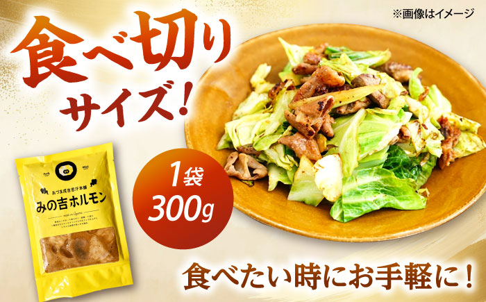 みの吉ホルモン 計1.8kg（300g×6パック）《厚真町》【有限会社市原精肉店】 ほるもん ミノ 豚肉 焼肉 BBQ 味付き 小分け 冷凍 北海道 [AXAA033]