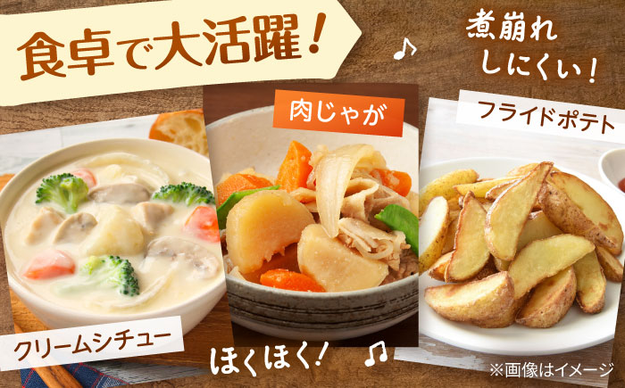 【先行予約商品】【5月中旬から発送予定！】氷室メークイン 5kg《厚真町》【とまこまい広域農業協同組合】 じゃがいも ジャガイモ 芋 メークイン 野菜 先行予約 北海道 [AXAB046]