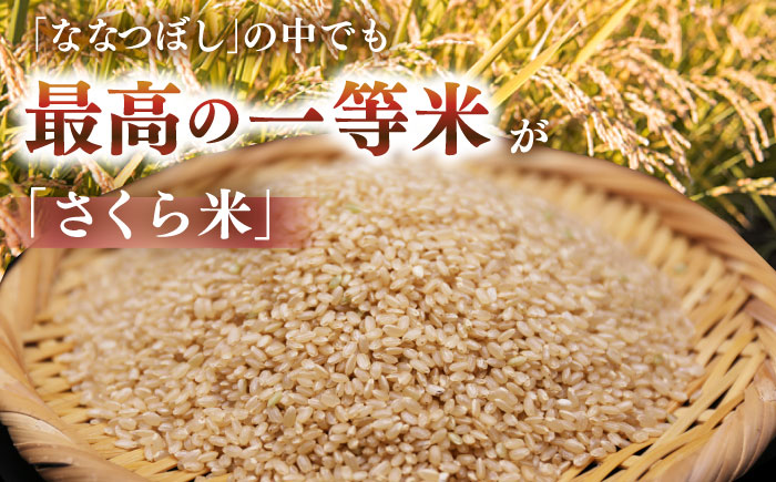 【全2回定期便】【玄米】さくら米 10kg《厚真町》【とまこまい広域農業協同組合】 米 お米 玄米 ご飯 ななつぼし 一等米 特A 北海道 [AXAB079]