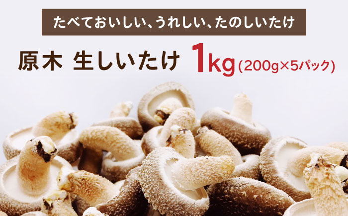 原木 生しいたけ 1kg（200g×5パック）《厚真町》【株式会社きたい】 生  椎茸 きのこ キノコ 小分け 北海道 [AXAI001]