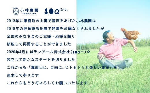 【全12回定期便】平飼い卵のクラシックプリン 8個 【テンアール株式会社】 プリン ぷりん デザート スイーツ オリジナル たまご 玉子 素材の味 北海道 定期便 [AXAN084]