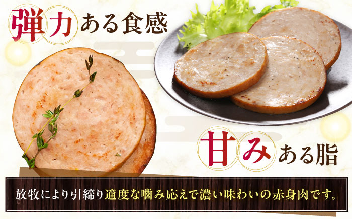 【訳あり】放牧豚 ボロニア厚切り スライスソーセージ 計30枚（3枚x10） 【ファーマーズファクトリー株式会社】 訳あり ボロニアウインナー 冷凍配送 詰合せ 北海道 [AXBA016]