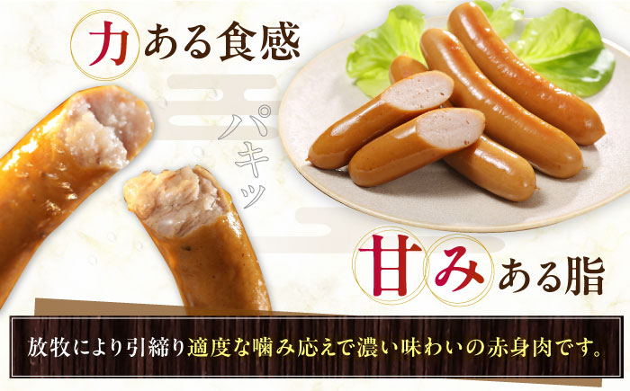 【全12回定期便】【結着剤・発色剤・保存料不使用】 放牧豚 ポークウィンナー・粗挽きウィンナー 計1kg（500g×各1パック） 【ファーマーズファクトリー株式会社】 チョリソー 粗挽き 冷凍配送 詰め合わせ 北海道 [AXBA049]