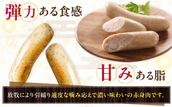 【全2回定期便】【訳あり】【結着剤・発色剤・保存料不使用】 放牧豚 サルシッチャ 2本x10セット（90g/パック） 【ファーマーズファクトリー株式会社】 訳あり ウインナー ソーセージ 冷凍配送 セット 詰め合わせ 北海道 [AXBA074]