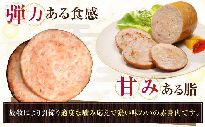 放牧豚 ボロニアミニソーセージ 計540g（180g×3）《厚真町》　【ファーマーズファクトリー株式会社】 [AXBA106]