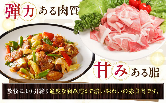 放牧豚 切落し 計750g（250g×3）《厚真町》　【ファーマーズファクトリー株式会社】 [AXBA118]