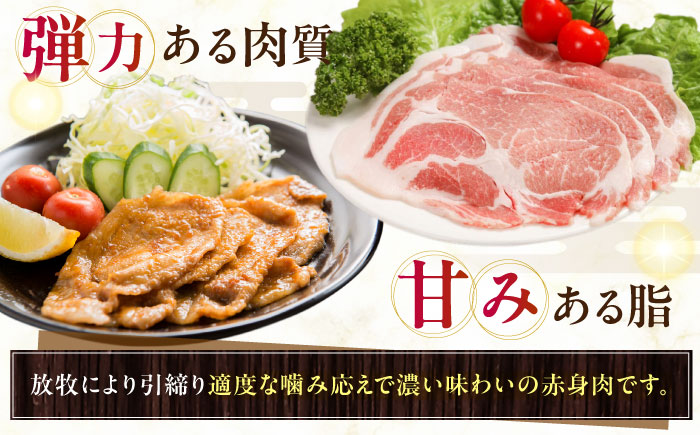 放牧豚 放牧豚 肩ロース生姜焼き 計2040g（170g×12）《厚真町》　【ファーマーズファクトリー株式会社】 [AXBA126]