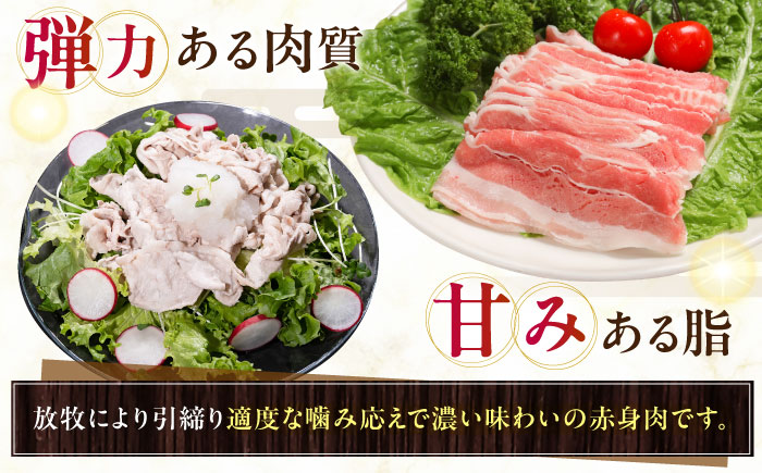 放牧豚バラしゃぶしゃぶ 計400g（200g×2）《厚真町》　【ファーマーズファクトリー株式会社】 [AXBA127]