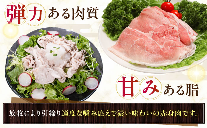放牧豚モモ しゃぶしゃぶ 計400g（200g×2）《厚真町》　【ファーマーズファクトリー株式会社】 [AXBA133]