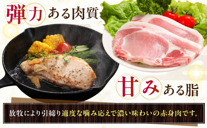 放牧豚ロース 厚切り 計800g（200g×4）《厚真町》　【ファーマーズファクトリー株式会社】 [AXBA140]